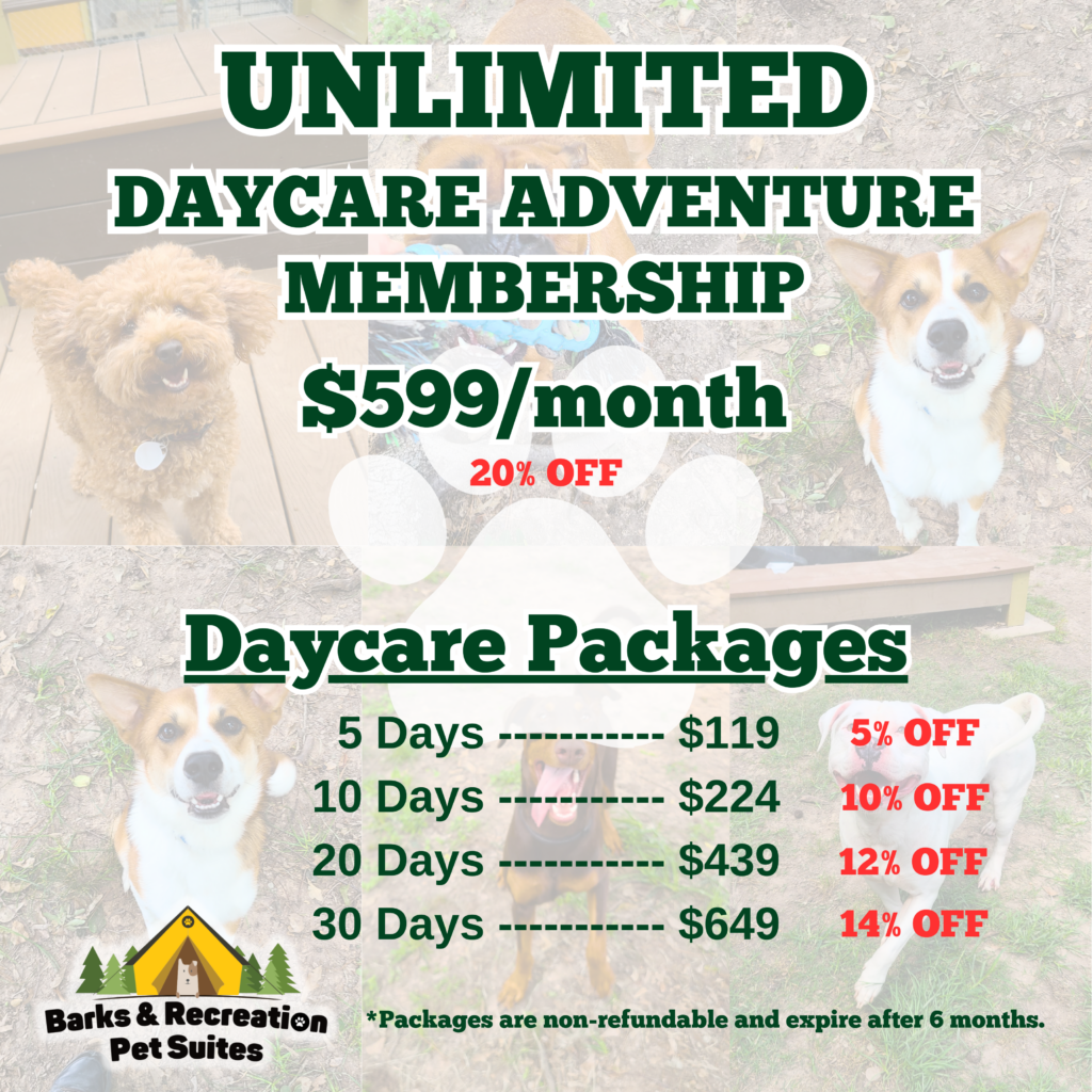 Daycare Packages